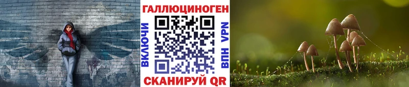 наркошоп Камышин Псилоцибиновые грибы Magic Shrooms